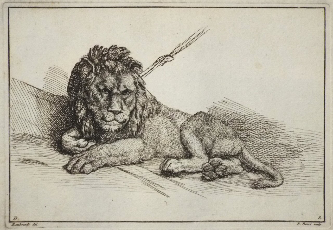 Etching - D. 5. Lion - Picart